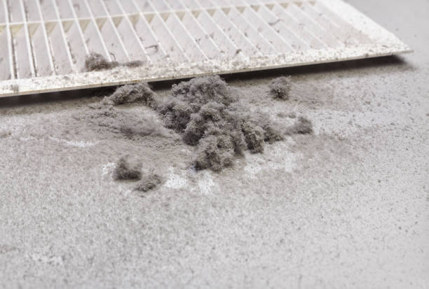 Best Emergency Air Duct Cleaning  in Tuskegee, AL