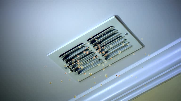 Best Commercial Air Duct Cleaning  in Tuskegee, AL